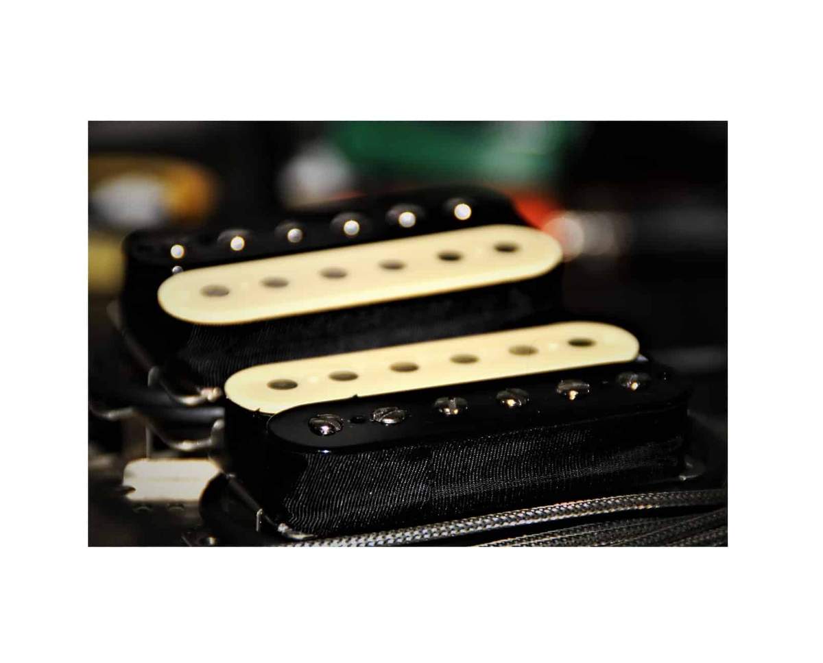 P.A.F. Calvilo Style Pastilla Alnico V, Cable de 4 hilos - Zebra - Image 3