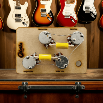 Arnés para Epiphone Les Paul Vintage Style 50s - Audio 500k