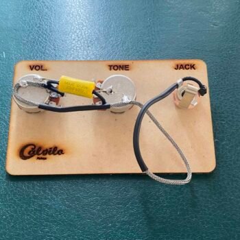 Arnés para Epiphone Les Paul Junior- Audio 500k