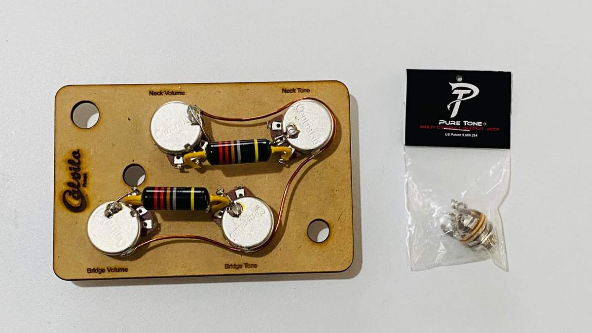 Arnés para Gibson Les Paul con Bumblebee Oil Filled - Image 2